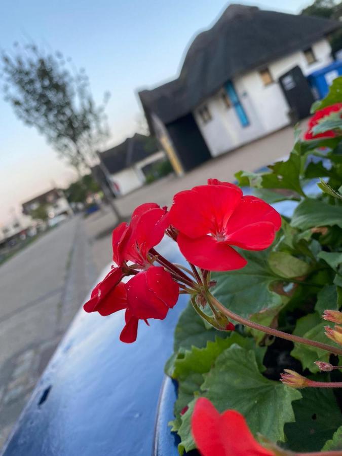 Code Terrace Oulton Broad Suffolk Βίλα Εξωτερικό φωτογραφία